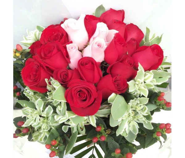 F86 24 RED & PINK ROSES BOUQUET WITH WHITE RIBBON AND ROUND WRAPS